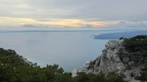 Bukovac