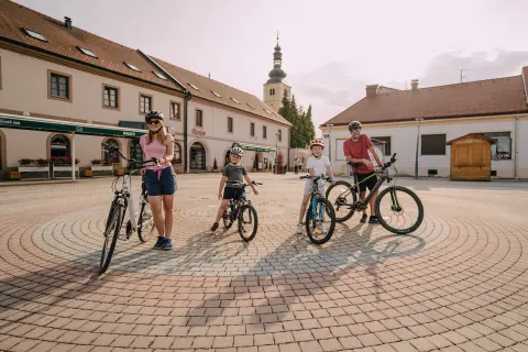 Ludbreg City