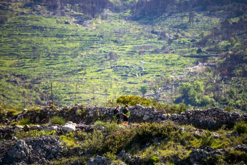 Podgora Trail Run (3)