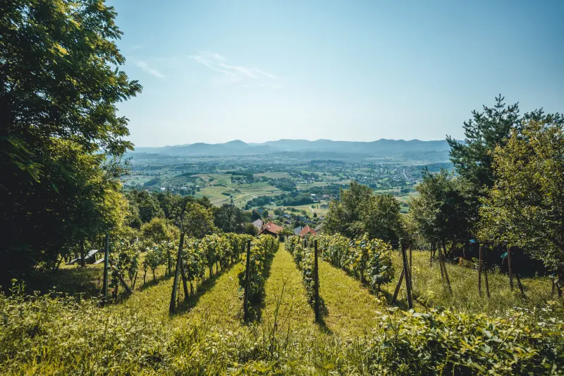 Uspon na Grebengrad (3)