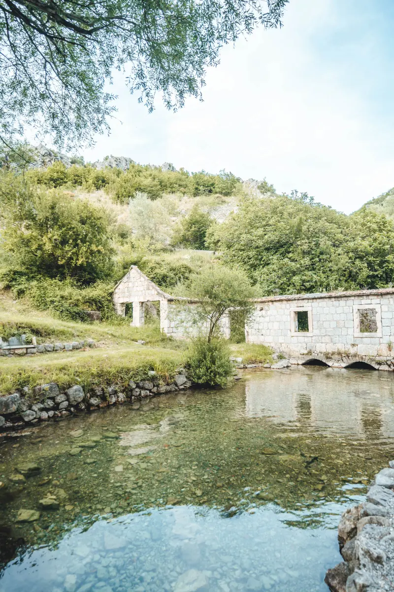 503 Žlabina (8)