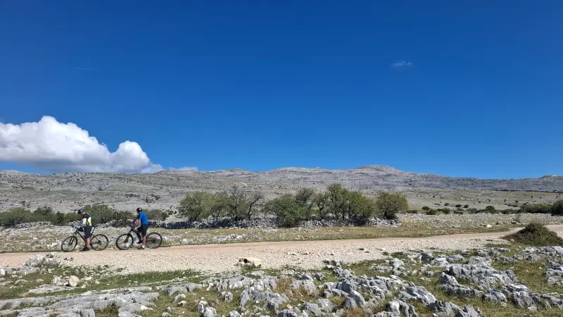 461 Dinara vamo-tamo (2)