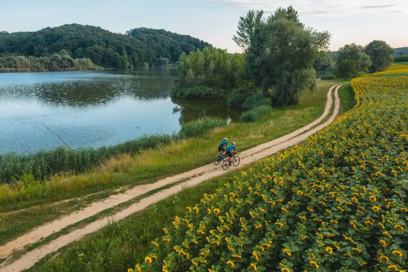 Jezero (ribnjak) Rasinja