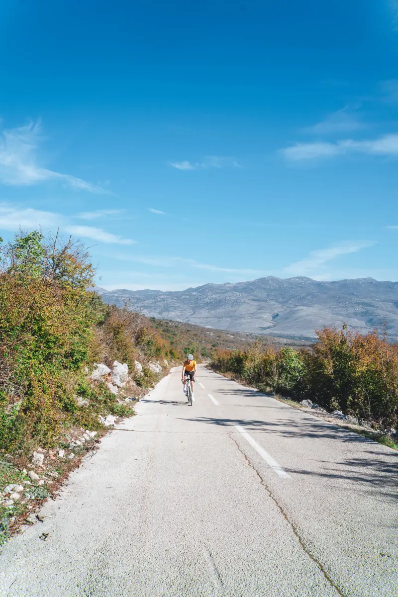 ROAD Novigrad 2 (6)