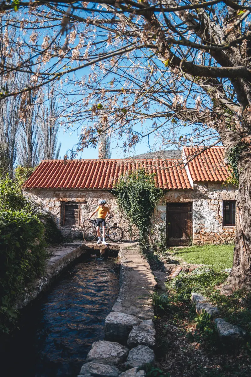ROAD Novigrad 2 (5)
