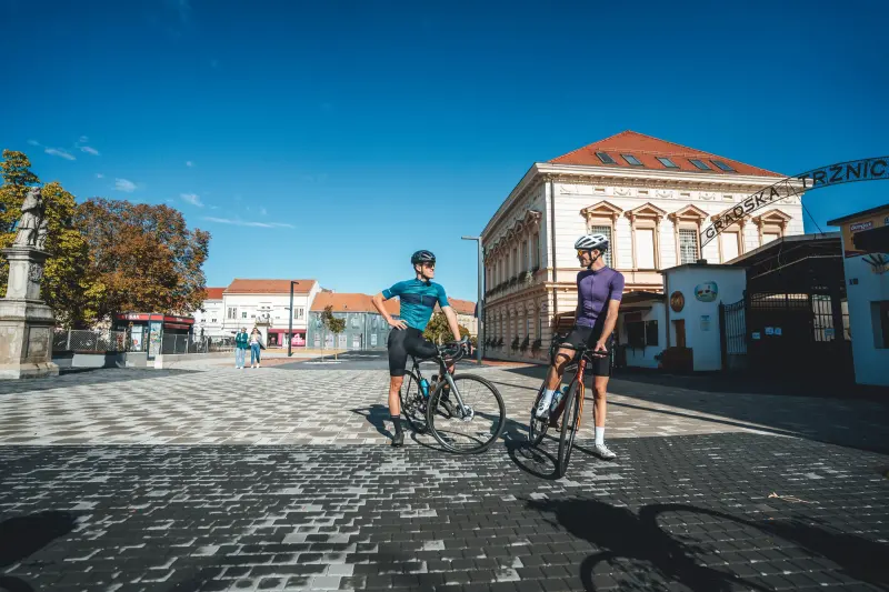 Koprivnica – Joža Horvat (8)